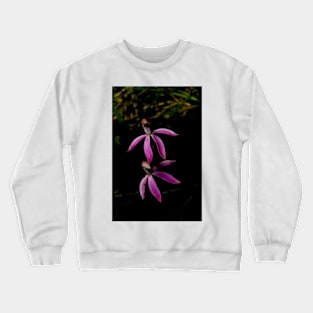 Black Tongue Caladenia Crewneck Sweatshirt